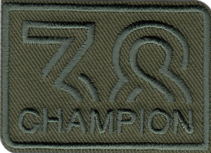 Našitek - 38 champion (zelen)